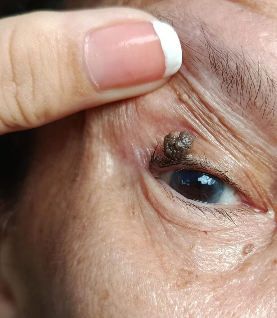 whatsapp image 2025 08 20 at 15.09.51